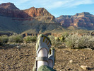 photo thumbnail #13