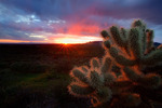 photo thumbnail #3