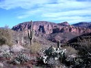 photo thumbnail #9