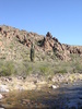 photo thumbnail #15