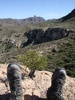 photo thumbnail #12