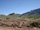 photo thumbnail #14