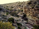 photo thumbnail #6
