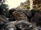 photo thumbnail #9