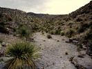 photo thumbnail #12