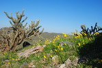 photo thumbnail #8
