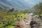photo thumbnail #9