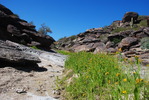 photo thumbnail #11