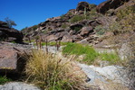 photo thumbnail #12