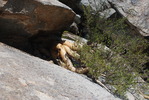 photo thumbnail #13