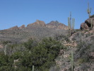 photo thumbnail #6