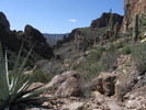 photo thumbnail #7