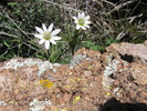 photo thumbnail #10