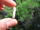 photo thumbnail #15