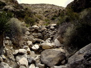photo thumbnail #7