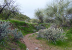 photo thumbnail #5