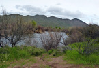 photo thumbnail #7