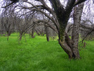 photo thumbnail #8