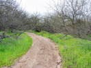 photo thumbnail #10