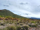 photo thumbnail #13