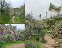 photo thumbnail #14