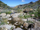 photo thumbnail #7