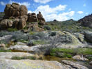photo thumbnail #13