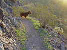 photo thumbnail #6
