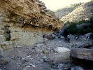 photo thumbnail #5