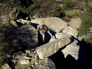 photo thumbnail #7
