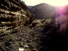 photo thumbnail #9