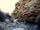 photo thumbnail #11