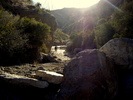 photo thumbnail #14