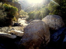 photo thumbnail #15