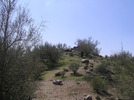 photo thumbnail #1