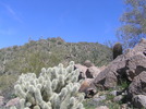 photo thumbnail #2