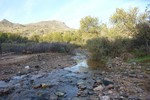 photo thumbnail #1