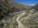 photo thumbnail #2