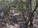 photo thumbnail #7
