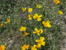 photo thumbnail #14