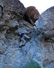 photo thumbnail #7