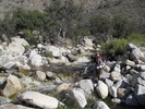 photo thumbnail #2