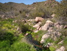 photo thumbnail #3