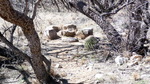 photo thumbnail #4