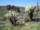 photo thumbnail #11