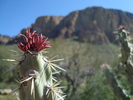photo thumbnail #12