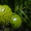 photo thumbnail #13