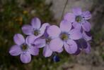 photo thumbnail #15