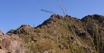 photo thumbnail #3