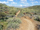 photo thumbnail #5